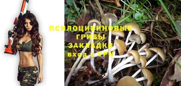 трава Дмитров