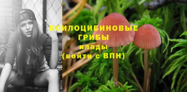 трава Дмитров